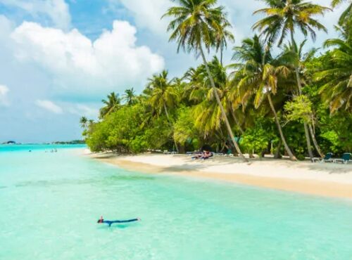 Goa